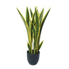 Artificial Mother in Law Tongue / Yellow Tongue Sansevieria UV Resistant 60CM - Designer Vertical Gardens Artificial Shrubs and Small plants Artificial Trees