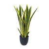 Artificial Mother in Law Tongue / Yellow Tongue Sansevieria UV Resistant 60CM - Designer Vertical Gardens Artificial Shrubs and Small plants Artificial Trees