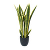 Artificial Mother in Law Tongue / Yellow Tongue Sansevieria UV Resistant 60CM - Designer Vertical Gardens Artificial Shrubs and Small plants Artificial Trees