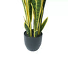 Artificial Mother in Law Tongue / Yellow Tongue Sansevieria UV Resistant 60CM - Designer Vertical Gardens Artificial Shrubs and Small plants Artificial Trees