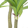 Artificial Multi Head Dracaena Tree With Mixed Green Leaves (Real Touch) 130cm - Designer Vertical Gardens Artificial Trees for Balconies Artificial Trees for Commercial Properties