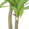 Artificial Multi Head Dracaena Tree With Mixed Green Leaves (Real Touch) 130cm - Designer Vertical Gardens Artificial Trees for Balconies Artificial Trees for Commercial Properties