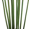 Artificial Multi Stem Hawaii Palm 190cm - Designer Vertical Gardens Artificial Fern tree Artificial Trees