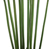 Artificial Multi Stem Hawaii Palm 190cm - Designer Vertical Gardens Artificial Fern tree Artificial Trees