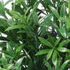 Artificial Olive Tree 130cm - UV Resistant Mediterranean Plant - Designer Vertical Gardens Articial Trees Artificial Plants