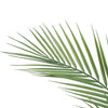 Artificial Phoenix Palm Plant 80cm - Designer Vertical Gardens Artificial Trees Bamboos and Palm