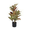Artificial Potted Flaming Zebra (Codiaeum variegatum / crotons) 55cm - Designer Vertical Gardens Artificial Shrubs and Small plants Dracena & Artificial Yucca
