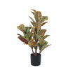 Artificial Potted Flaming Zebra (Codiaeum variegatum / crotons) 55cm - Designer Vertical Gardens Artificial Shrubs and Small plants Dracena & Artificial Yucca
