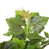Artificial Potted Grape Vine Tree 70cm - Designer Vertical Gardens artificial green wall sydney Artificial Trees