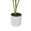 Artificial Potted Grape Vine Tree 70cm - Designer Vertical Gardens artificial green wall sydney Artificial Trees