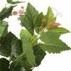 Artificial Potted Grape Vine Tree 70cm - Designer Vertical Gardens artificial green wall sydney Artificial Trees