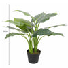 Artificial Potted Taro Plant / Elephant Ear 70cm - Designer Vertical Gardens Artificial Shrubs and Small plants Artificial Trees