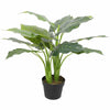 Artificial Potted Taro Plant / Elephant Ear 70cm - Designer Vertical Gardens Artificial Shrubs and Small plants Artificial Trees