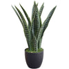 Artificial Snake Plant Sansevieria UV Resistant 60cm - Designer Vertical Gardens Artificial Shrubs and Small plants Artificial Yellow Tongue