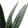 Artificial Snake Plant Sansevieria UV Resistant 60cm - Designer Vertical Gardens Artificial Shrubs and Small plants Artificial Yellow Tongue