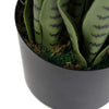 Artificial Snake Plant Sansevieria UV Resistant 85cm - Designer Vertical Gardens Artificial Shrubs and Small plants Artificial Trees