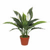 Artificial Spathiphyllum Peace Lily Plant with White Flowers 60cm - Designer Vertical Gardens Artificial Shrubs and Small plants Artificial Trees