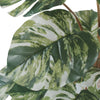 Artificial Variegated Monstera 90cm - Premium Swiss Cheese Plant - Designer Vertical Gardens Artificial Shrubs and Small plants Artificial Trees
