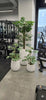 Artificial Variegated Monstera 90cm - Premium Swiss Cheese Plant - Designer Vertical Gardens Artificial Shrubs and Small plants Artificial Trees