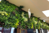 Artificial Vertical Garden 3 Panel Set (3 SQM) - UV Resistant Living Wall - Designer Vertical Gardens artificial green wall australia artificial green wall installation