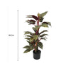 Artificial Wide Leaf Cordyline Plant 90cm - Designer Vertical Gardens artificial garden wall plants artificial green wall australia