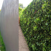 Luxury Green Meadows Vertical Garden Green Wall Panel 1m x 1m – SGS UV Resistant - side view