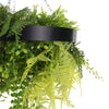 Black Framed Roof Hanging Disc With Draping Life - Like Plants 40cm - Designer Vertical Gardens hanging fern hanging garland