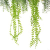 Black Framed Roof Hanging Disc With Draping Life - Like Plants 60cm - Designer Vertical Gardens hanging plants