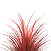 Burgundy Bliss Yucca Grass 115cm UV and Weather Resistant - Designer Vertical Gardens Artificial Shrubs and Small plants Dracena & Artificial Yucca