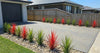 Burgundy Potted Artificial Long Grass (Yucca Grass) 75cm UV Resistant - Designer Vertical Gardens Artificial Shrubs and Small plants Artificial Trees
