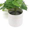 Decorative Ceramic Bowl Potted Artificial Monstera Plant 30cm - Designer Vertical Gardens artificial indoor plants artificial monstera in pot