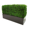 Deluxe Portable Bright Buxus Hedge 100cm x 50cm - UVTEX Certified UV Resistant - Designer Vertical Gardens artificial vertical green wall Portable Hedges