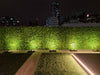 Dense Fern Artificial Hedge / Fake Green Wall DIY Vertical Garden 1m x 1m UV Resistant - Designer Vertical Gardens artificial garden wall plants artificial green wall australia