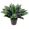 Dense Potted Artificial Calathea Plant 35cm - Designer Vertical Gardens Artificial Shrubs and Small plants Artificial Trees