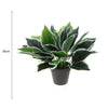 Dense Potted Artificial Calathea Plant 35cm - Designer Vertical Gardens Artificial Shrubs and Small plants Artificial Trees