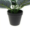 Dense Potted Artificial Calathea Plant 35cm - Designer Vertical Gardens Artificial Shrubs and Small plants Artificial Trees
