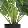 Dense Potted Artificial Split Philodendron Plant With Real Touch Leaves 50cm - Designer Vertical Gardens Artificial Shrubs and Small plants Artificial Trees