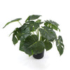 Dense Potted Artificial Split Philodendron Plant With Real Touch Leaves 50cm - Designer Vertical Gardens Artificial Shrubs and Small plants Artificial Trees