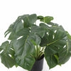 Dense Potted Artificial Split Philodendron Plant With Real Touch Leaves 50cm - Designer Vertical Gardens Artificial Shrubs and Small plants Artificial Trees