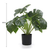 Dense Potted Artificial Split Philodendron Plant With Real Touch Leaves 50cm - Designer Vertical Gardens Artificial Shrubs and Small plants Artificial Trees