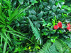 Elegant Red Rose Artificial Vertical Garden / Green Wall UV Resistant Sample - Designer Vertical Gardens artificial green wall sydney artificial hedge fence panels