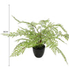 Faux Small Potted Fern 35cm - Designer Vertical Gardens artificial green wall sydney Artificial Shrubs and Small plants