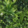 Flowering Modern White Artificial Green Wall Disc UV Resistant 75cm (Black Frame) - Designer Vertical Gardens
