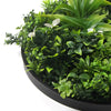 Flowering Modern White Artificial Green Wall Disc UV Resistant 75cm (Black Frame) - Designer Vertical Gardens