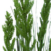 Flowering Native Grass 120cm - Designer Vertical Gardens artificial green wall sydney artificial vertical garden melbourne