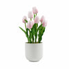 Flowering Pink Artificial Tulip Plant Arrangement With Ceramic Bowl 35cm - Designer Vertical Gardens Artificial Shrubs and Small plants Flowering plants