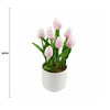 Flowering Pink Artificial Tulip Plant Arrangement With Ceramic Bowl 35cm - Designer Vertical Gardens Artificial Shrubs and Small plants Flowering plants