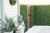 Flowering White Artificial Green Wall Disc UV Resistant 50cm (Black Frame) - Designer Vertical Gardens artificial garden wall plants artificial green wall australia