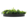 Flowering White Artificial Green Wall Disc UV Resistant 50cm (Black Frame) - Designer Vertical Gardens artificial garden wall plants artificial green wall australia