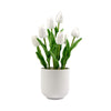 Flowering White Artificial Tulip Plant Arrangement With Ceramic Bowl 35cm - Designer Vertical Gardens Artificial Shrubs and Small plants Artificial Trees